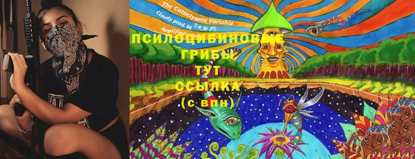 прущие крисы Алексин
