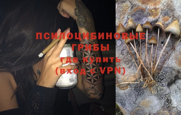 гидропоника Алзамай